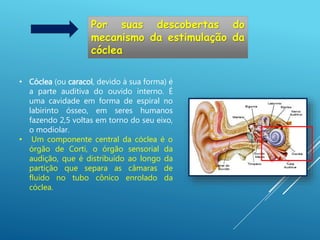 Por suas descobertas do
mecanismo da estimulação da
cóclea
• Cóclea (ou caracol, devido à sua forma) é
a parte auditiva do ouvido interno. É
uma cavidade em forma de espiral no
labirinto ósseo, em seres humanos
fazendo 2,5 voltas em torno do seu eixo,
o modiolar.
• Um componente central da cóclea é o
órgão de Corti, o órgão sensorial da
audição, que é distribuído ao longo da
partição que separa as câmaras de
fluido no tubo cônico enrolado da
cóclea.
 