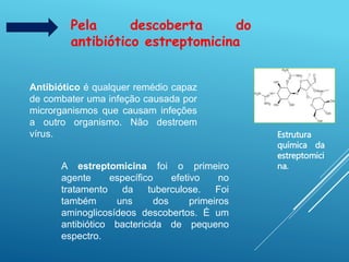 Pela descoberta do
antibiótico estreptomicina
Antibiótico é qualquer remédio capaz
de combater uma infeção causada por
microrganismos que causam infeções
a outro organismo. Não destroem
vírus.
A estreptomicina foi o primeiro
agente específico efetivo no
tratamento da tuberculose. Foi
também uns dos primeiros
aminoglicosídeos descobertos. É um
antibiótico bactericida de pequeno
espectro.
Estrutura
química da
estreptomici
na.
 