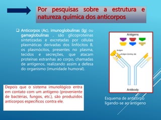 Esquema de anticorpo
ligando-se ao antígeno
Por pesquisas sobre a estrutura e
natureza química dos anticorpos
 Anticorpos (Ac), imunoglobulinas (Ig) ou
gamaglobulinas , são glicoproteínas
sintetizadas e excretadas por células
plasmáticas derivadas dos linfócitos B,
os plasmócitos, presentes no plasma,
tecidos e secreções, que atacam
proteínas estranhas ao corpo, chamadas
de antígenos, realizando assim a defesa
do organismo (imunidade humoral).
Depois que o sistema imunológico entra
em contato com um antígeno (proveniente
de bactérias, fungos, etc.), são produzidos
anticorpos específicos contra ele.
 