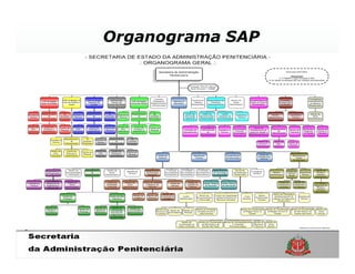 Organograma SAP
 
