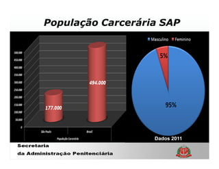 População Carcerária SAP




                   Dados 2011
 