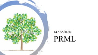PRML
14.5 5560 ota
 