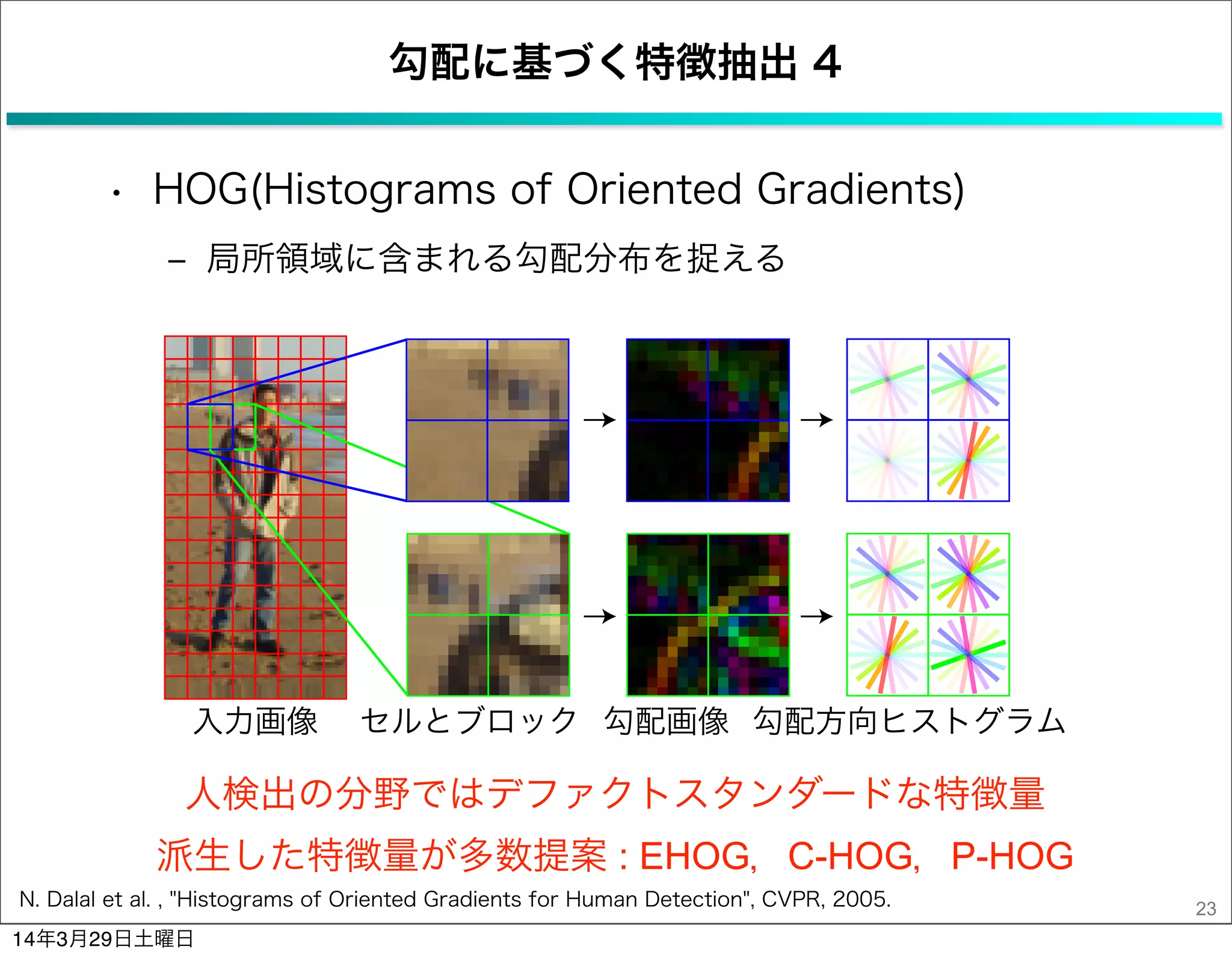 勾配に基づく特徴抽出 4
• HOG(Histograms of Oriented Gradients)
‒ 局所領域に含まれる勾配分布を捉える
23
人検出の分野ではデファクトスタンダードな特徴量
派生した特徴量が多数提案 : EHOG，C-HOG，P-HOG
N. Dalal et al. , "Histograms of Oriented Gradients for Human Detection", CVPR, 2005.
14年3月29日土曜日
 