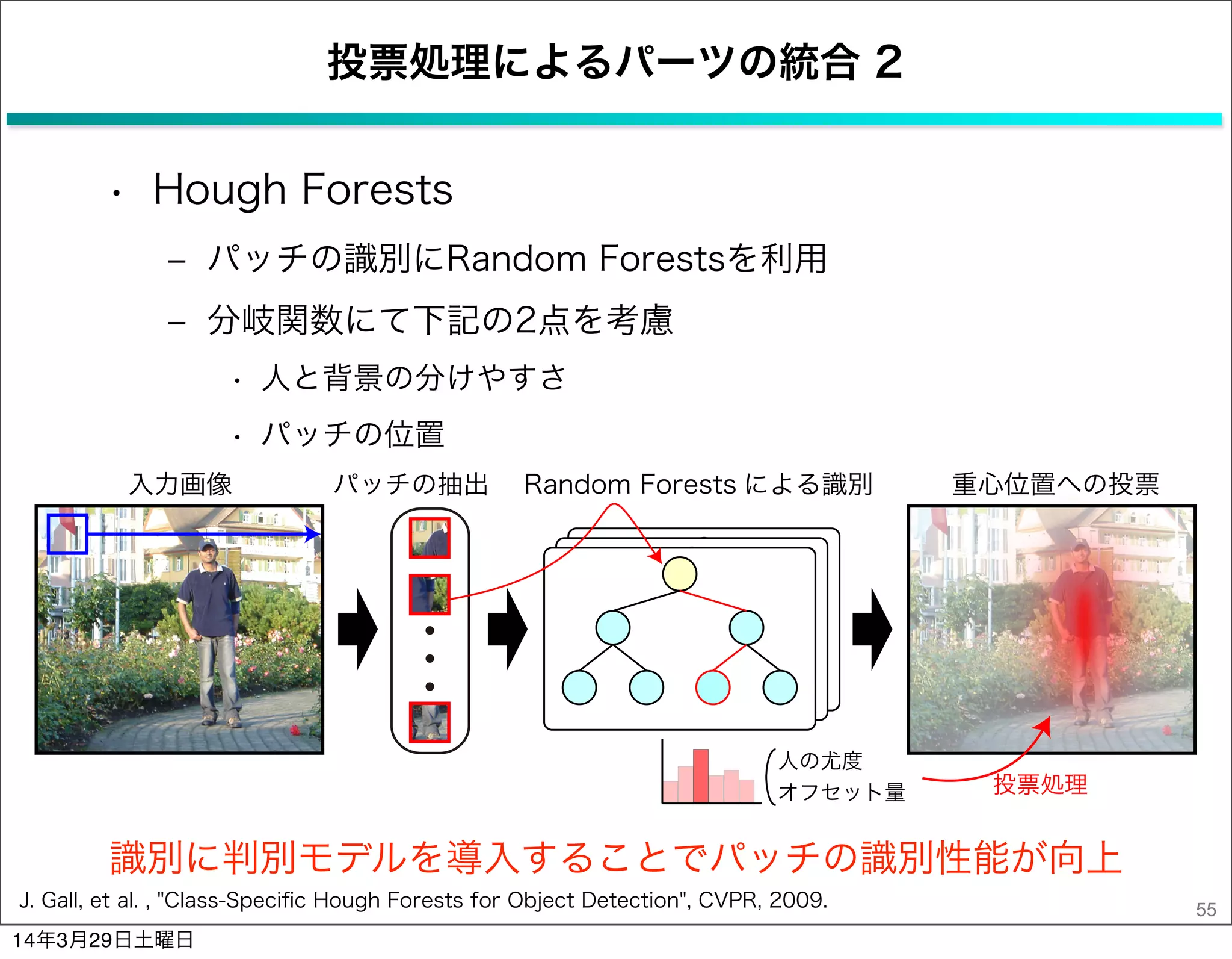 投票処理によるパーツの統合 2
• Hough Forests
‒ パッチの識別にRandom Forestsを利用
‒ 分岐関数にて下記の2点を考慮
• 人と背景の分けやすさ
• パッチの位置
55J. Gall, et al. , "Class-Speciﬁc Hough Forests for Object Detection", CVPR, 2009.
識別に判別モデルを導入することでパッチの識別性能が向上
Random Forests による識別入力画像 パッチの抽出 重心位置への投票
人の尤度
オフセット量 投票処理
14年3月29日土曜日
 