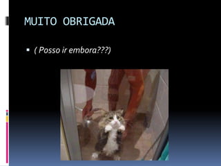 MUITO OBRIGADA
 ( Posso ir embora???)
 