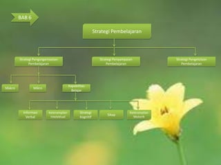 BAB 6

                                                            Strategi Pembelajaran



        Strategi Pengorganisasian                              Strategi Penyampaian             Strategi Pengelolaan
              Pembelajaran                                         Pembelajaran                    Pembelajaran




                                          Kapabilitas
Makro            Mikro
                                            Belajar




          Informasi        Keterampilan          Strategi                        Keterampilan
                                                                   Sikap
            Verbal          Intelektual          Kognitif                          Motorik
 