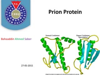 Prion Protein
Bahaaddin Ahmed Saber
27-05-2015
 