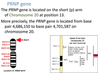 Prnp | PPTX