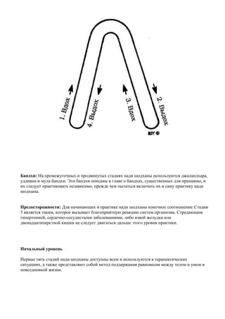 Бандхи: На промежуточных и продвинутых стадиях нади шодханы используются джаландхара,
уддияна и мула бандхи. Эти бандхи описаны в главе о бандхах, существенных для пранаямы, и
их следует практиковать независимо, прежде чем пытаться включать их в саму практику нади
шодханы.


Предосторожности: Для начинающих в практике нади шодханы конечное соотношение Стадии
5 является таким, которое вызывает благоприятную реакцию систем организма. Страдающим
гипертонией, сердечно-сосудистыми заболеваниями, либо язвой желудка или
двенадцатиперстной кишки не следует двигаться дальше этого уровня практики.




Начальный уровень

Первые пять стадий нади шодханы доступны всем и используются в терапевтических
ситуациях, а также представляют собой метод поддержания равновесия между телом и умом в
повседневной жизни.
 