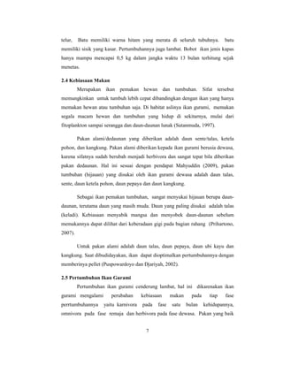 7
telur, Batu memiliki warna hitam yang merata di seluruh tubuhnya. batu
memiliki sisik yang kasar. Pertumbuhannya juga lambat. Bobot ikan jenis kapas
hanya mampu mencapai 0,5 kg dalam jangka waktu 13 bulan terhitung sejak
menetas.
2.4 Kebiasaan Makan
Merupakan ikan pemakan hewan dan tumbuhan. Sifat tersebut
memungkinkan untuk tumbuh lebih cepat dibandingkan dengan ikan yang hanya
memakan hewan atau tumbuhan saja. Di habitat aslinya ikan gurami, memakan
segala macam hewan dan tumbuhan yang hidup di sekitarnya, mulai dari
fitoplankton sampai serangga dan daun-daunan lunak (Sutanmuda, 1997).
Pakan alami/dedaunan yang diberikan adalah daun sente/talas, ketela
pohon, dan kangkung. Pakan alami diberikan kepada ikan gurami berusia dewasa,
karena sifatnya sudah berubah menjadi herbivora dan sangat tepat bila diberikan
pakan dedaunan. Hal ini sesuai dengan pendapat Mahyuddin (2009), pakan
tumbuhan (hijauan) yang disukai oleh ikan gurami dewasa adalah daun talas,
sente, daun ketela pohon, daun pepaya dan daun kangkung.
Sebagai ikan pemakan tumbuhan, sangat menyukai hijauan berupa daun-
daunan, terutama daun yang masih muda. Daun yang paling disukai adalah talas
(keladi). Kebiasaan menyabik mangsa dan menyobek daun-daunan sebelum
memakannya dapat dilihat dari keberadaan gigi pada bagian rahang (Prihartono,
2007).
Untuk pakan alami adalah daun talas, daun pepaya, daun ubi kayu dan
kangkung. Saat dibudidayakan, ikan dapat dioptimalkan pertumbuhannya dengan
memberinya pellet (Puspowardoyo dan Djariyah, 2002).
2.5 Pertumbuhan Ikan Gurami
Pertumbuhan ikan gurami cenderung lambat, hal ini dikarenakan ikan
gurami mengalami perubahan kebiasaan makan pada tiap fase
perrtumbuhannya yaitu karnivora pada fase satu bulan kehidupannya,
omnivora pada fase remaja dan herbivora pada fase dewasa. Pakan yang baik
 