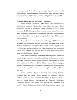 11
protein syndrome). Rasio efesiensi protein dapat digunakan untuk menilai
kualiatas protein suatu bahan karena efesiensi protein adalah banyaknya protein
yang dapat diretensi oleh ternak dan digunakan untuk pertumbuhan atau produksi.
2.6 Kacang Bambara (Vigna subterranean Verdcourt L)
Kacang Bambara (Fachruddin, 2000) anggota famili Leguminoceae /
Papilionaceae, subfamili Papilionoidae, genus Vigna dan spesies Vigna
subterranea Verdcourt L, mempunyai jumlah kromosom 2n=2x=22 pasang
kromosom (2n=22). Kacang Bambara termasuk tanaman menyerbuk sendiri.
Bunga hampir sama dengan bunga kacang panjang, baik bentuk, susunan maupun
warnanya. Penyerbukan sendiri pada kacang Bambara sangat didukung oleh
struktur bunganya.
Kacang Bambara cocok tumbuh sampai ketinggian 1.600 meter dari
permukaan laut. Sebagai salah satu jenis kacang tanah, persyaratan hidup kacang
Bambara, mirip tanaman kacang tanah. Suhu rata-rata tahunan yang dibutuhkan
19-270
C, dengan penyinaran matahari yang cukup. Curah hujan yang dikehendaki
berkisar antara 500-3.500 mm per tahun (Astawan, 2009). Penanaman di dataran
rendah banyak dilakukan di Indonesia.
Salah satu kelebihan kacang Bambara adalah kemampuannya untuk hidup
di tanah dengan unsur hara yang minim dan kurang air. Kemampuan tersebut
menjadikan tanaman ini mampu tumbuh dan banyak dikembangkan di daerah
kering Afrika tropis (Astawan, 2009). Sebagai tanaman kacang-kacangan,
tanaman kacang Bambara juga dapat mengikat nitrogen melalui simbiosis dengan
bakteri rhizobium seperti halnya sifat tanaman kacang-kacangan lainnya (Ntundu
dkk., 2004).
Kacang bambara (Vigna subterranea) atau kacang bambara,
merupakan salah satu sumber pangan alternatif di Indonesia. Kacang
bambara berasal dari Afrika, kemudian berkembang di kawasan Amerika.
Saat ini, kacang bambara telah menyebar ke Sukabumi, Majalengka,
Tasikmalaya, Bandung, Jawa Tengah, Jawa Timur (Gresik), Lampung, NTB
dan NTT (Rahmat dan Rukmana, 2000). Berbeda dengan tanaman legume pada
 