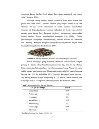 12
umumnya, kacang bambara lebih adaptif dan toleran pada daerah yang kurang
subur (Stephens, 2003).
Budidaya kacang bambara banyak ditemukan Jawa Barat, Banten dan
pesisir utara Jawa Timur. Distribusi tanaman yang banyak ditemukan di kota
Bambara dan kota Gresik. Penanaman di sekitar bambara menyebabkan
tanaman ini dinamakan kacang bambara, sedangkan di Gresik biasa disebut
dengan nama kacang kapri. Berbagai publikasi internasional, menyebutkan
kacang bambara dengan nama bambara groundnut (Liu, 2011). Dalam
perkembangan selanjutnya, tanaman kacang bambara tersebar ke Sukabumi
dan Bandung. Sebagian masyarakat menyebut kacang tersebut dengan nama
kacang Bandung (Rahmat dan Rukmana, 2000).
Gambar 2. Kacang bambara (Referensi : kesehatandia.blogspot.com/2014)
Bentuk Polongnya yang berbentuk membulat, berkerut-kerut, dengan
panjang 1 - 1,5cm. satu polong biasanya berisi satu biji, atau dua biji. Bentuk
bijinya membulat, halus, dan keras jika telah masak dan kering. Warna biji krem,
coklat, merah, atau bertutul-tutul. Kandungan protein pada biji kacang bambara
berkisar 14 - 24% dan karbohidrat 60%. Proteinnya kaya asam amino metionin.
Biji kacang bambara hanya mengandung 6-12% minyak, sekitar separuh dari
kandungan minyak kacang tanah. Menurut (Rahmat dan Rukmana, 2000).
Tabel 2. Kandungan Gizi Kacang Bambara
Zat gizi per 100 gr Jumlah
Enegi (kkal)
Protein (g)
Lemak (g)
Karbohidrat (g)
Kalsium (mg)
Fosfor (mg)
Besi (mg)
370
16.0
6.0
65.0
85
264
4.2
Sumber: (Direktorat Gizi Depkes RI 2000 : 10)
 