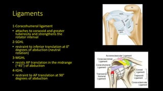 Ligaments
1-Coracohumeral ligament
• attaches to coracoid and greater
tuberosity and strengthens the
rotator interval
2-SGHL
• restraint to inferior translation at 0°
degrees of abduction (neutral
rotation)
3-MGHL
• resists AP translation in the midrange
(~45°) of abduction
4-IGHL
• restraint to AP translation at 90°
degrees of abduction
 