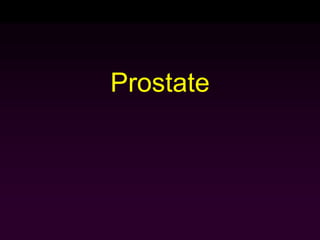 Prostate
 