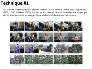 Technique #1
This contact sheet displays out of focus shots in TV or AV mode. I either shot the pictures
1/250, 1/500, 1/800 or 1/1000. For instance in the 4 pictures of the hedge, the images get
slightly sharper as they go along as the resolution and the exposure decreases.
 