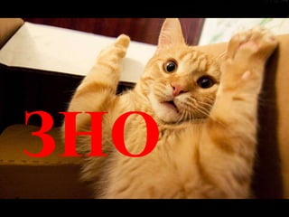 Аж раптом
ЗНО
 