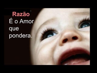 Razão   É o Amor que pondera. 