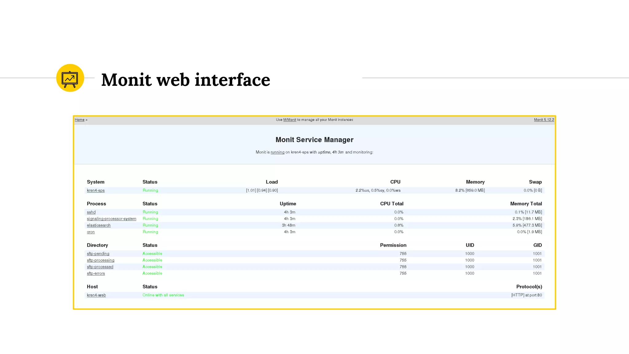 Monit web interface
 