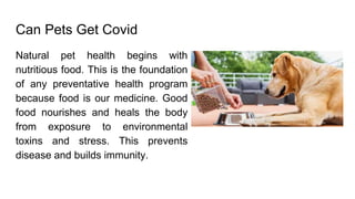 Can Pets Get Covid
Natural pet health begins with
nutritious food. This is the foundation
of any preventative health program
because food is our medicine. Good
food nourishes and heals the body
from exposure to environmental
toxins and stress. This prevents
disease and builds immunity.
 