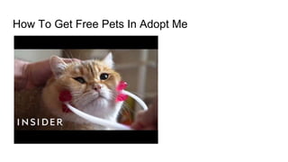 How To Get Free Pets In Adopt Me
 