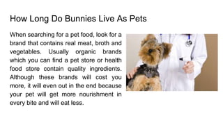 How Long Do Bunnies Live As Pets
When searching for a pet food, look for a
brand that contains real meat, broth and
vegetables. Usually organic brands
which you can find a pet store or health
food store contain quality ingredients.
Although these brands will cost you
more, it will even out in the end because
your pet will get more nourishment in
every bite and will eat less.
 