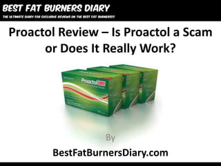 Proactol Review – Is Proactol a Scam
      or Does It Really Work?




                 By
       BestFatBurnersDiary.com
 