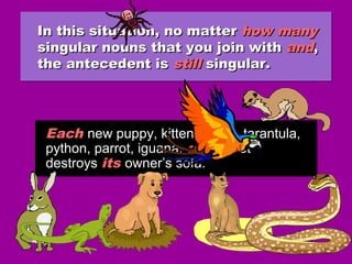 In this situation, no matterIn this situation, no matter how manyhow many
singular nouns that you join withsingular nouns that you join with andand,,
the antecedent isthe antecedent is stillstill singular.singular.
In this situation, no matterIn this situation, no matter how manyhow many
singular nouns that you join withsingular nouns that you join with andand,,
the antecedent isthe antecedent is stillstill singular.singular.
Each new puppy, kitten, rabbit, tarantula,
python, parrot, iguana, and ferret
destroys its owner’s sofa.
Each new puppy, kitten, rabbit, tarantula,
python, parrot, iguana, and ferret
destroys its owner’s sofa.
 