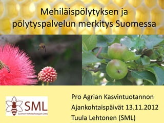 Mehiläispölytyksen ja
pölytyspalvelun merkitys Suomessa

Pro Agrian Kasvintuotannon
Ajankohtaispäivät 13.11.2012
Tuula Lehtonen (SML)

 