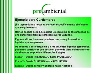 Ejemplo para Curtiembres   (En la practica se necesita conocer específicamente el efluente que se quiere tratar) Hemos sacado de la bibliografía un esquema de los procesos de una curtiembre tipo que procesa cueros vacunos.  Figuran allí los insumos químicos que usan y los residuos líquidos que se generan. De acuerdo a este esquema y a los efluentes liquidos generados, podemos considerar que desde el punto de vista del tratamiento de efluentes se pueden diferenciar 3 etapas Etapa 1.- Desde PREMOJADO hasta PIQUELADO Etapa 2.- Desde CURTIDO hasta   RECURTIDO Etapa 3.- Desde Teñido y Engrase hasta Acabado 