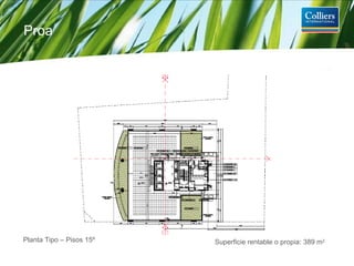 Planta Tipo – Pisos 15º Superficie rentable o propia: 389 m 2 Proa 
