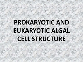 PROKARYOTIC AND
EUKARYOTIC ALGAL
CELL STRUCTURE
 