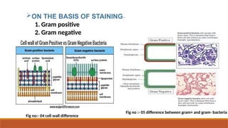 PROKARYOTIC AND EUKARYOTIC PRESENTATION.pptx
