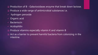  Production of B - Galactosidases enzyme that break down lactose.
 Produce a wide range of antimicrobial substances i.e.
 hydrogen peroxide
 Organic acid
 Bacteriocin
 Acidophilin
 Produce vitamins especially vitamin K and vitamin B
 Act as a barrier to prevent harmful bacteria from colonizing in the
intestine.
 