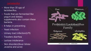 Lactobacillus
 More than 30 spp of
lactobacillus.
 Foods that are fermented like
yogurt and dietary
supplements also contain these
bacteria.
 It helps in preventing
• Yeast infection
• Urinary tract infection(UTI)
• Travelers diarrhea
• Lactose intolerance
• Skin disorders(fever blister
,eczema and acne)
 