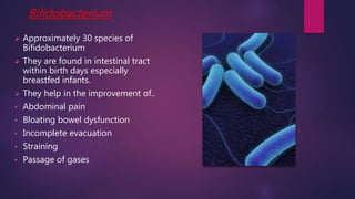 Bifidobacterium
 Approximately 30 species of
Bifidobacterium
 They are found in intestinal tract
within birth days especially
breastfed infants.
 They help in the improvement of..
• Abdominal pain
• Bloating bowel dysfunction
• Incomplete evacuation
• Straining
• Passage of gases
 