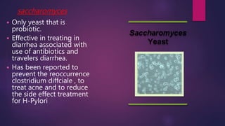 saccharomyces
 Only yeast that is
probiotic.
 Effective in treating in
diarrhea associated with
use of antibiotics and
travelers diarrhea.
 Has been reported to
prevent the reoccurrence
clostridium diffciale , to
treat acne and to reduce
the side effect treatment
for H-Pylori
 