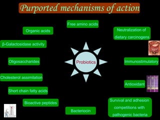 Purported mechanisms of action
Bacteriocin
Bioactive peptides
Short chain fatty acids
Neutralization of
dietary carcinogens
Free amino acids
Organic acids
β-Galactosidase activity
Oligosaccharides
Cholesterol assimilation
Survival and adhesion
competitions with
pathogenic bacteria
Antioxidant
ImmunostimulatoryProbiotics
 