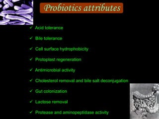 Probiotics attributes
 Acid tolerance
 Bile tolerance
 Cell surface hydrophobicity
 Protoplast regeneration
 Antimicrobial activity
 Cholesterol removal and bile salt deconjugation
 Gut colonization
 Lactose removal
 Protease and aminopeptidase activity
 