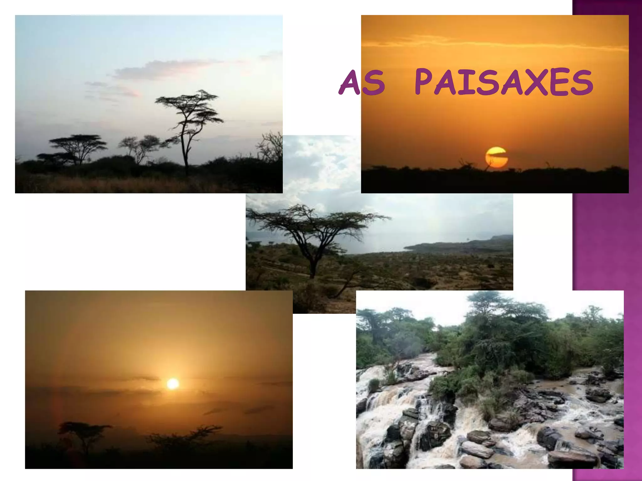   AS  PAISAXES