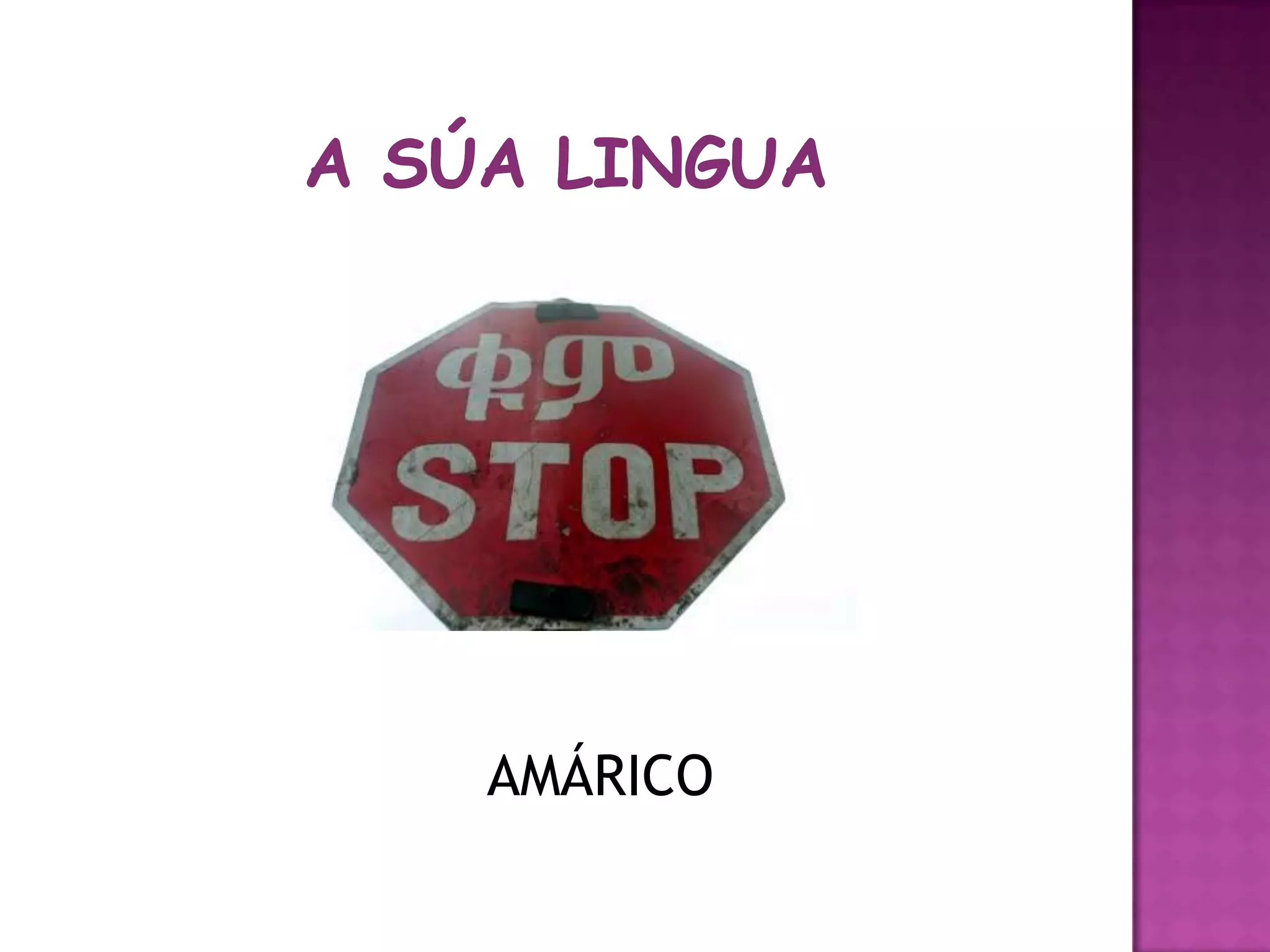 A súalinguaAMÁRICO