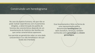 Construindo um heredograma

No caso da espécie humana, em que não se
pode realizar experiências com cruzamentos
dirigidos, a determinação do padrão de
herança das características depende de um
levantamento do histórico das famílias em
que certas características aparecem.

Isso permite ao geneticista saber se uma dada
característica é ou não hereditária e de que
modo ela é herdada.

Esse levantamento é feito na forma de
uma representação gráfica
denominada heredograma (do
latim heredium, herança), também
conhecida como genealogia ou árvore
genealógica.

 