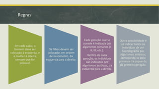 Regras

Em cada casal, o
homem deve ser
colocado à esquerda, e
a mulher à direita,
sempre que for
possível.

Os filhos devem ser
colocados em ordem
de nascimento, da
esquerda para a direita.

Cada geração que se
sucede é indicada por
algarismos romanos (I,
II, III, etc.).
Dentro de cada
geração, os indivíduos
são indicados por
algarismos arábicos, da
esquerda para a direita.

Outra possibilidade é
se indicar todos os
indivíduos de um
heredograma por
algarismos arábicos,
começando-se pelo
primeiro da esquerda,
da primeira geração.

 