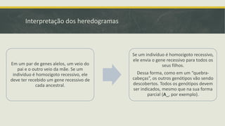 Interpretação dos heredogramas

Em um par de genes alelos, um veio do
pai e o outro veio da mãe. Se um
indivíduo é homozigoto recessivo, ele
deve ter recebido um gene recessivo de
cada ancestral.

Se um indivíduo é homozigoto recessivo,
ele envia o gene recessivo para todos os
seus filhos.
Dessa forma, como em um “quebracabeças”, os outros genótipos vão sendo
descobertos. Todos os genótipos devem
ser indicados, mesmo que na sua forma
parcial (A_, por exemplo).

 