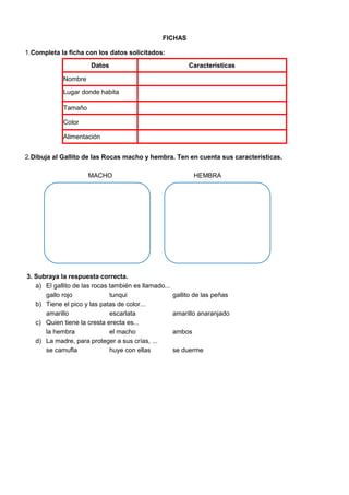 FICHAS
1.Completa la ficha con los datos solicitados:
Datos Características
Nombre
Lugar donde habita
Tamaño
Color
Alimentación
2.Dibuja al Gallito de las Rocas macho y hembra. Ten en cuenta sus características.
MACHO HEMBRA
3. Subraya la respuesta correcta.
a) El gallito de las rocas también es llamado...
gallo rojo tunqui gallito de las peñas
b) Tiene el pico y las patas de color...
amarillo escarlata amarillo anaranjado
c) Quien tiene la cresta erecta es...
la hembra el macho ambos
d) La madre, para proteger a sus crías, ...
se camufla huye con ellas se duerme
 