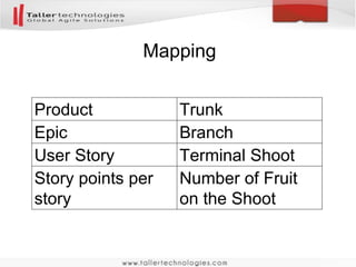 Product backlog as a branching system
Product Backlog
User Story 3
Epic C Epic B
User Story 4
Epic C
User Story 6 User Story 7User Story 1 User Story 2 User Story 5
 