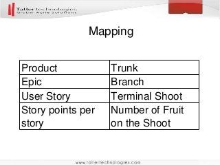 Mapping
Product Trunk
Epic Branch
User Story Terminal Shoot
Story points per
story
Number of Fruit
on the Shoot
 