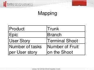 Mapping
Product Trunk
Epic Branch
User Story Terminal Shoot
Number of tasks
per User story
Number of Fruit
on the Shoot
 