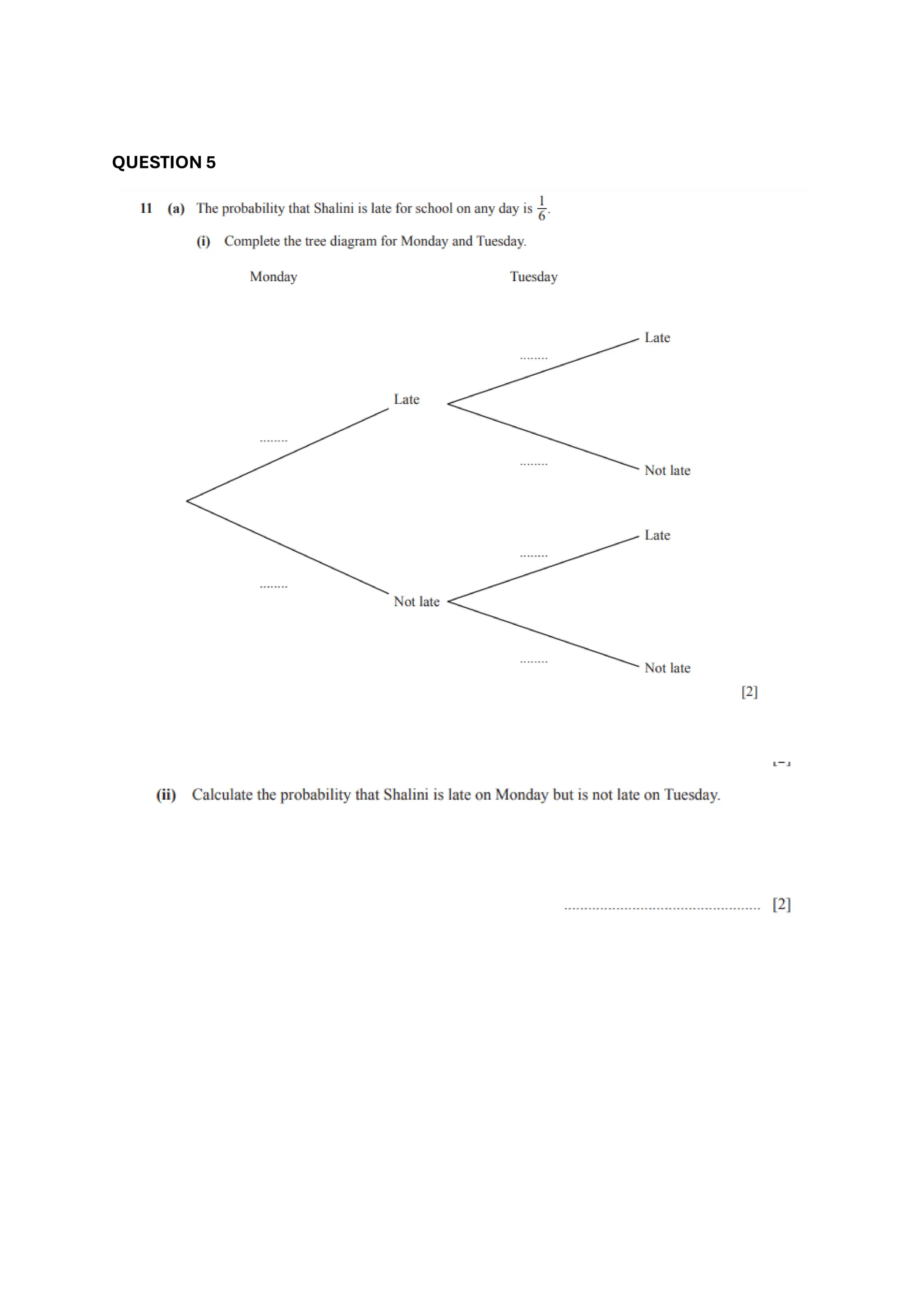 PROBABILITY IGCSE MATHEMATICS QUESTIONS.pdf