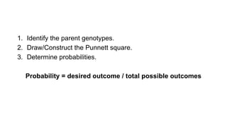 Understanding Genetic Probability: Punnett Squares and Inheritance ...