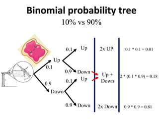 Binomial probability tree
Up
Down
Up
Down
Up
Down
10% vs 90%
0.1
0.9
0.1
0.9
0.1
0.9
0.1 * 0.1 = 0.01
2x UP
Up +
Down
2x Down 0.9 * 0.9 = 0.81
2 * (0.1 * 0.9) = 0.18
 